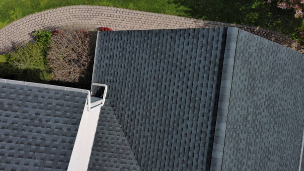 Best Roof Moss and Algae Removal  in Rossmoor, NJ